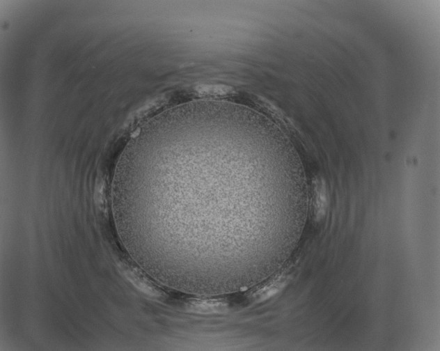 X0000082720619200702091814