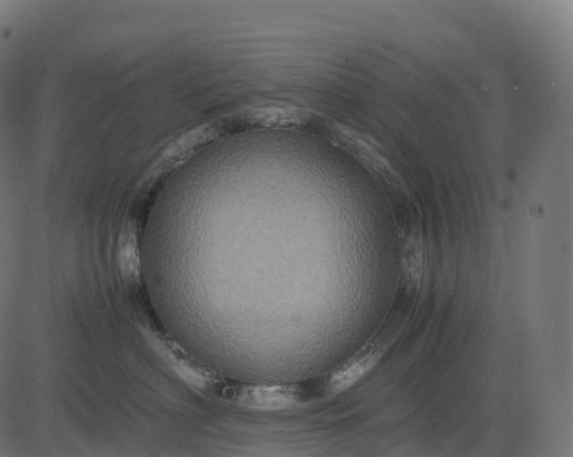 X0000082720622200702091814