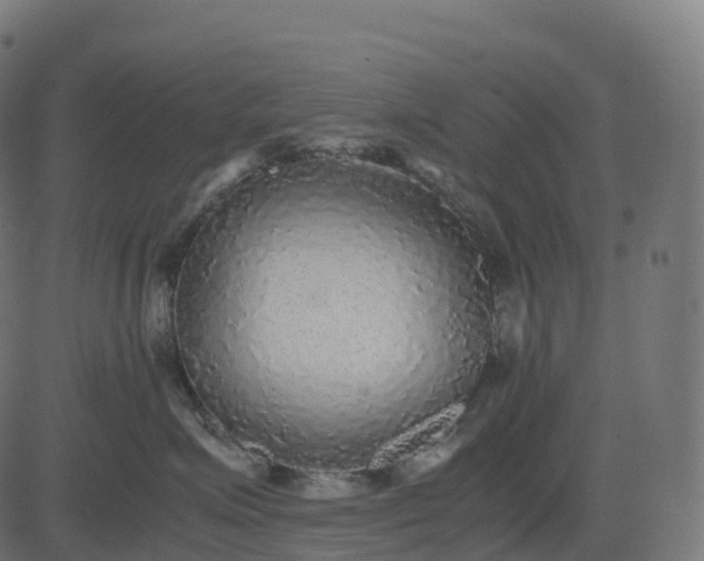 X0000082720623200702091814