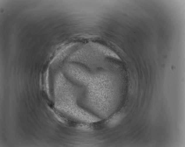 X0000082720624200702091814