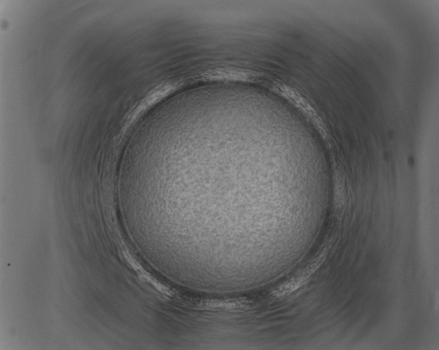 X0000082720625200702091813