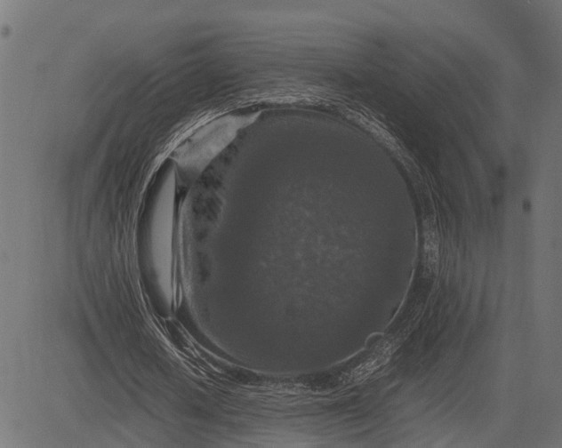 X0000082720626200702091813