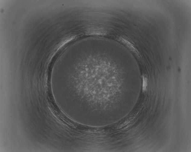 X0000082720627200702091813