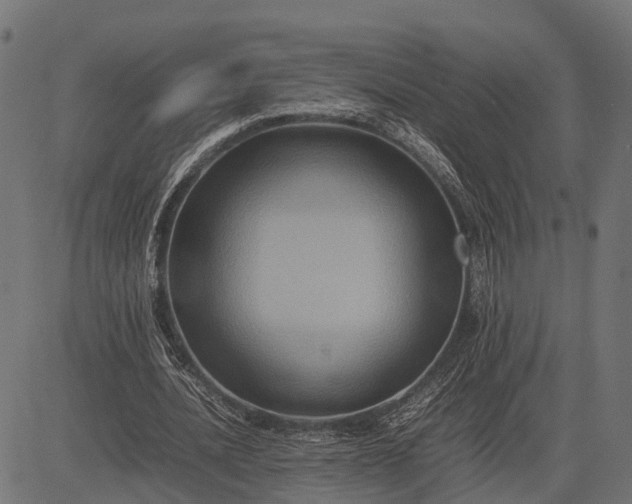 X0000082720628200702091813