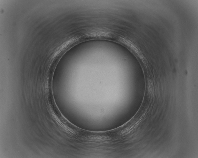 X0000082720629200702091813