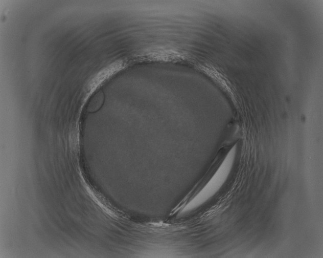 X0000082720630200702091813