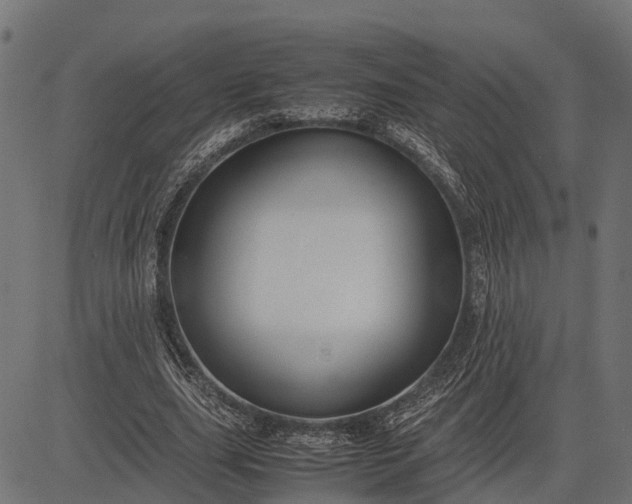 X0000082720631200702091813