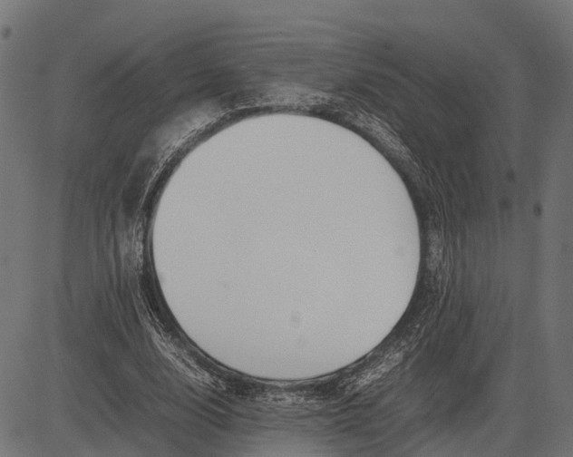 X0000082720632200702091813