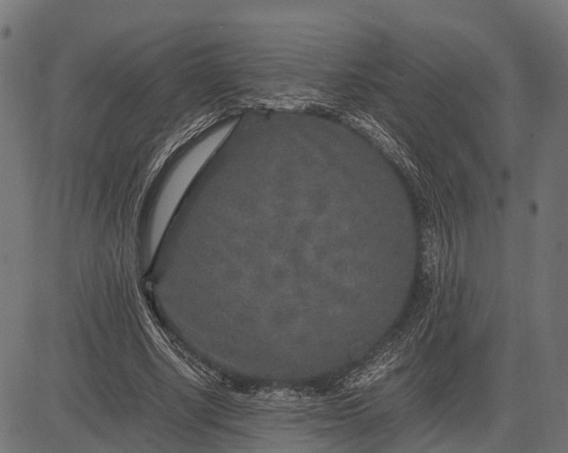 X0000082720634200702091813