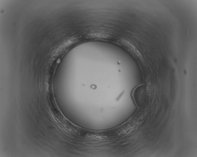 X0000082720635200702091813