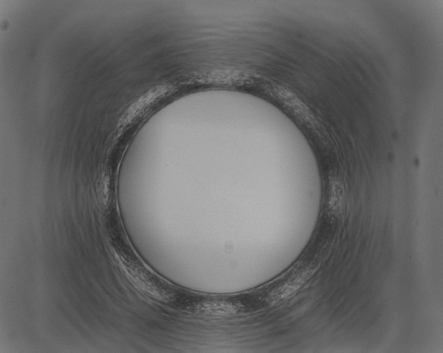 X0000082720636200702091813