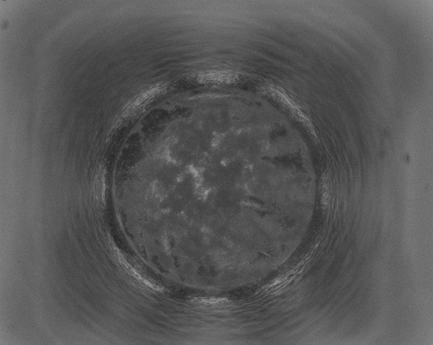 X0000082720637200702091813