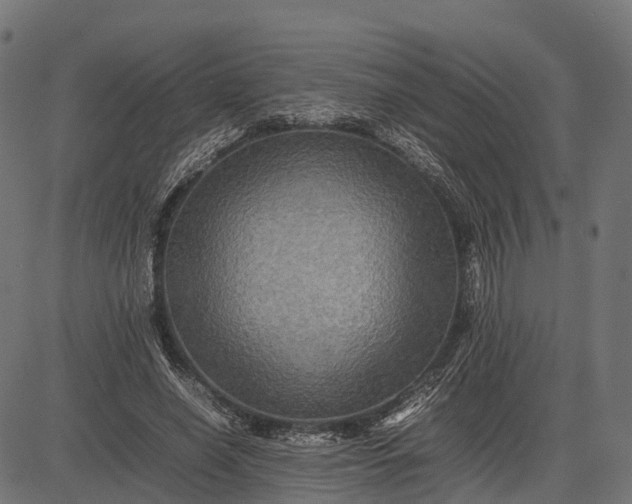 X0000082720638200702091813