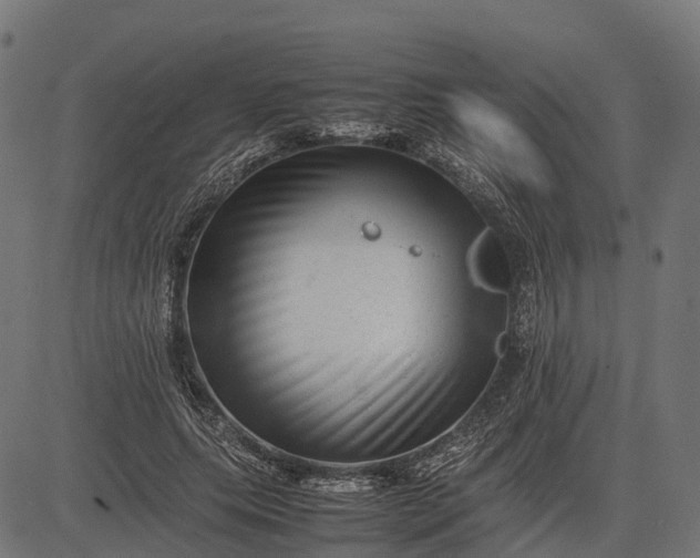 X0000082720639200702091813