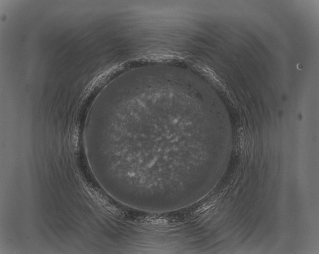 X0000082720640200702091813