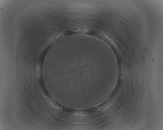 X0000082720641200702091813