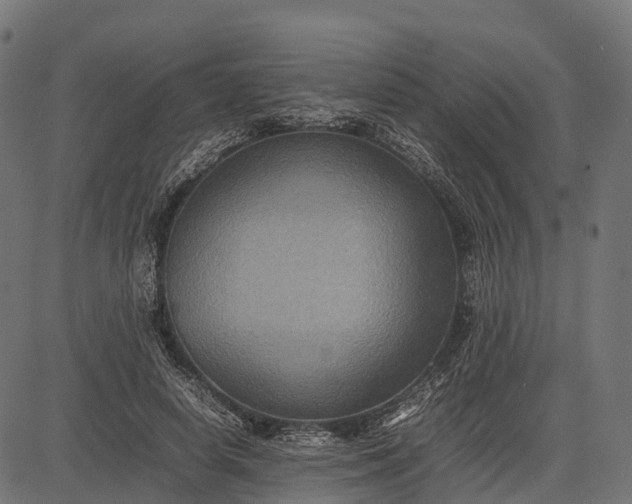 X0000082720642200702091813