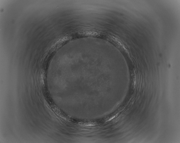 X0000082720643200702091814