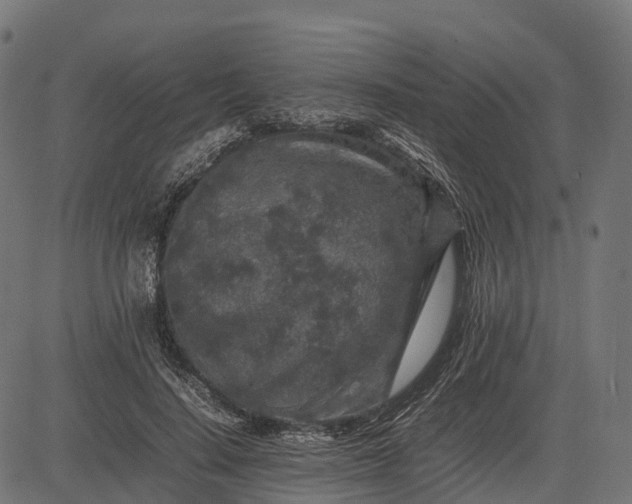 X0000082720644200702091814