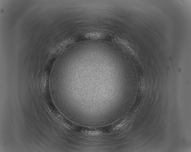 X0000082720645200702091814