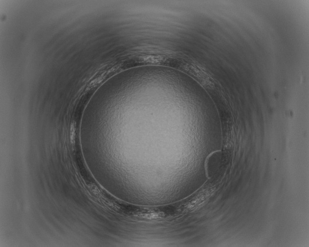 X0000082720646200702091814