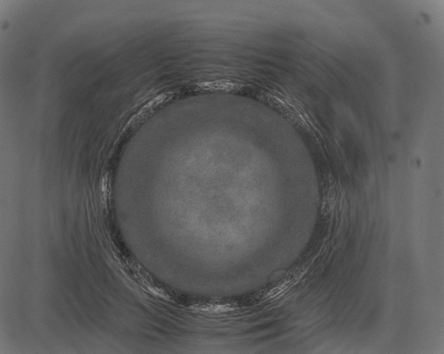 X0000082720647200702091814