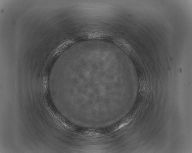 X0000082720648200702091814