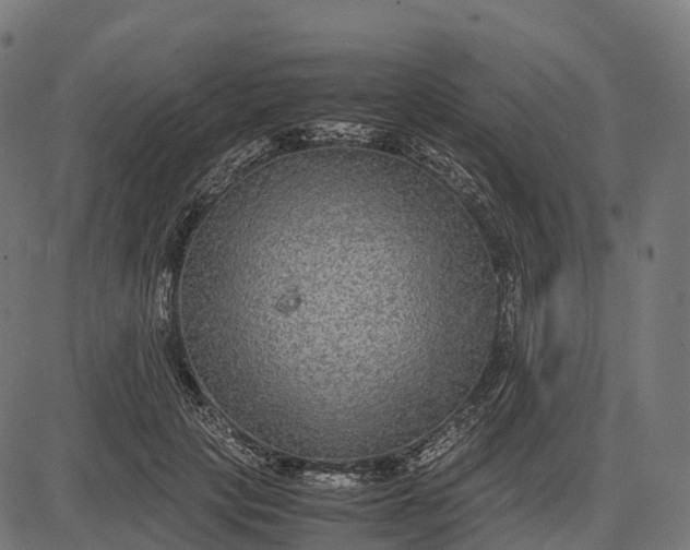 X0000082720649200702091814