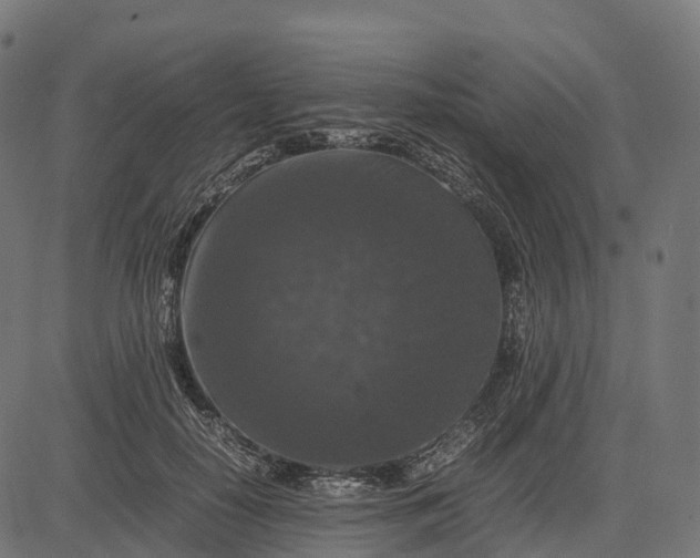 X0000082720650200702091814