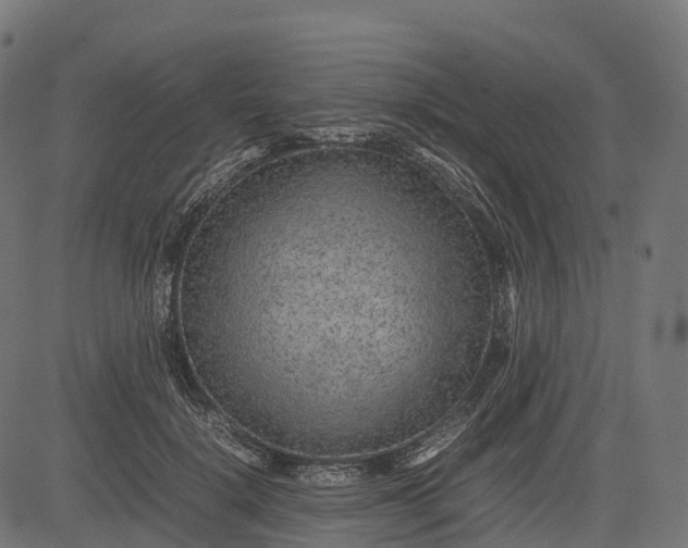 X0000082720652200702091814