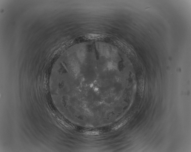 X0000082720653200702091814