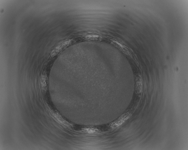 X0000082720654200702091814