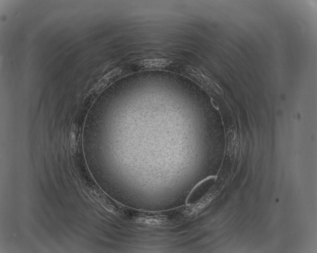 X0000082720655200702091814