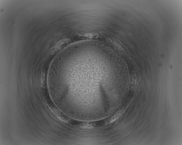 X0000082720656200702091814