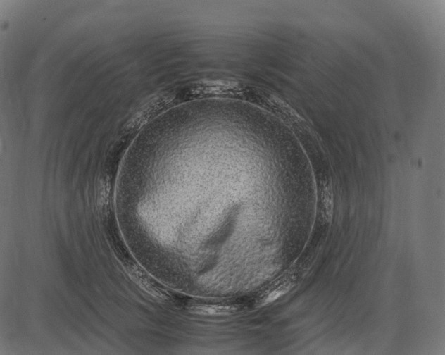 X0000082720657200702091814