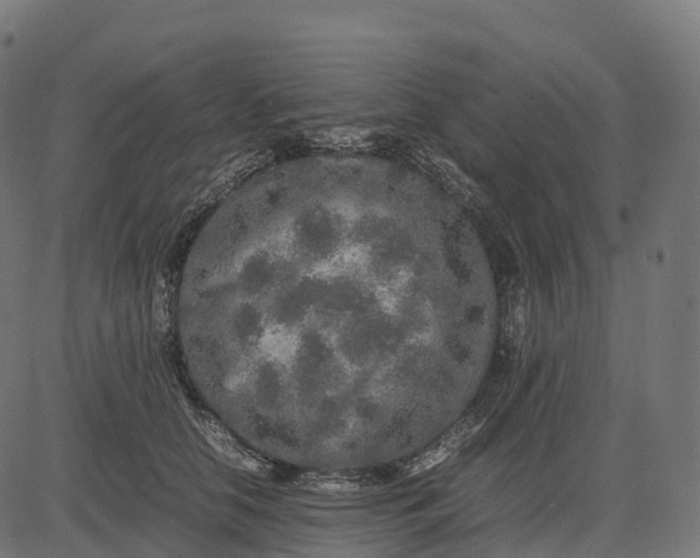 X0000082720658200702091814