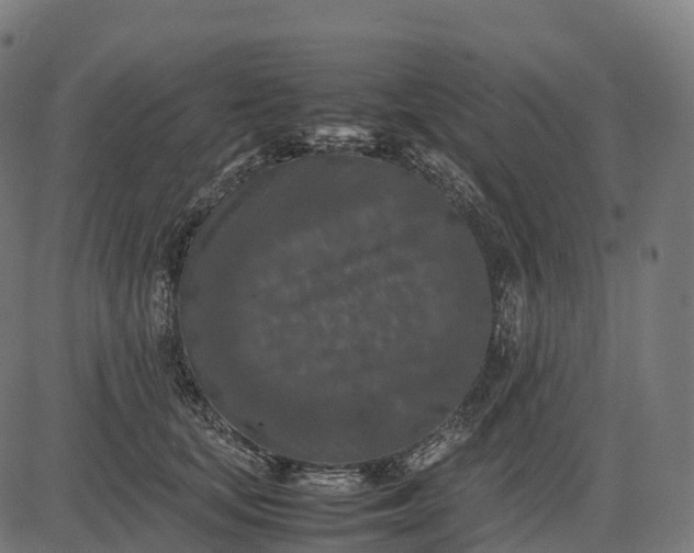 X0000082720659200702091814