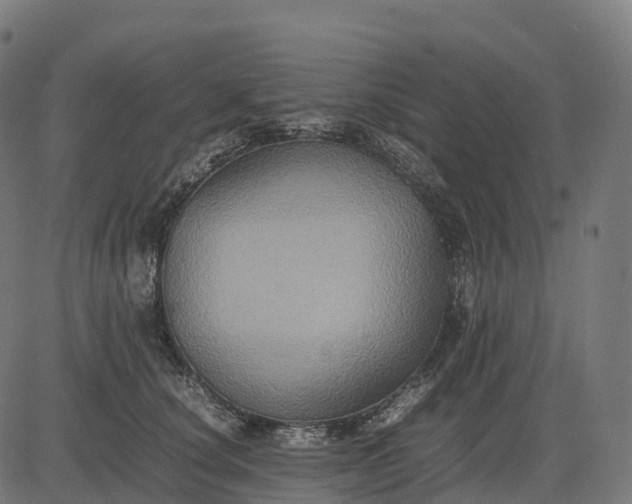 X0000082720660200702091814