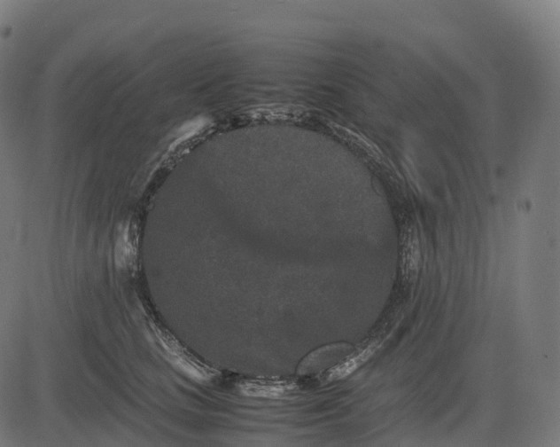 X0000082720661200702091814