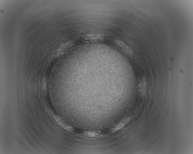 X0000082720662200702091814