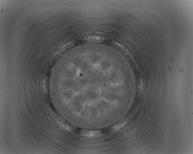 X0000082720663200702091814