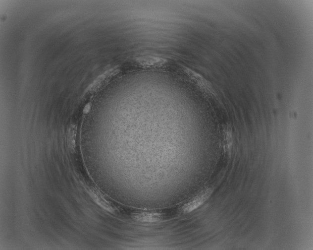 X0000082720664200702091814