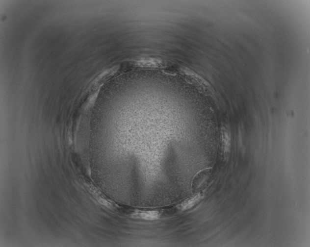 X0000082720665200702091814