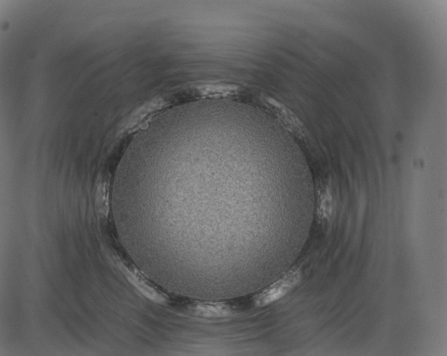 X0000082720666200702091814