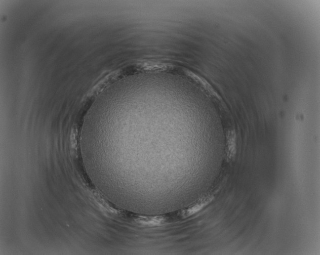 X0000082720667200702091814