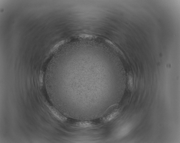 X0000082720668200702091814