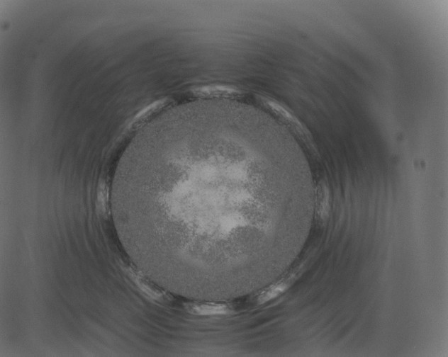 X0000082720669200702091814