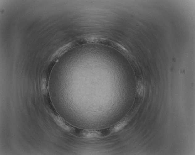 X0000082720670200702091814