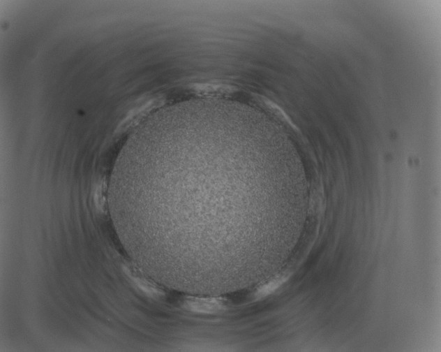 X0000082720671200702091814