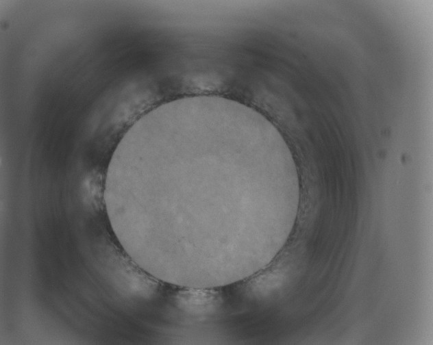 X0000082720672200702091814